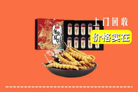 马山县回收冬虫夏草